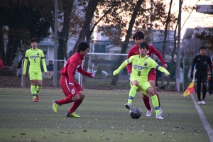 DSC_0025 (1) 
